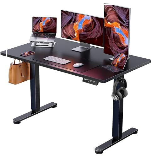 ErGear Height Adjustable Electric Standing Desk, 48 x 24 Inches Sit Stand up Desk, Memory Computer Home Office Desk (Black)