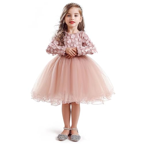 TTYAOVO Girls Longsleeve Lace 3D Flowers Tulle Layered Princess Party Dresses Size(140) 5-6 Years Dusty Pink