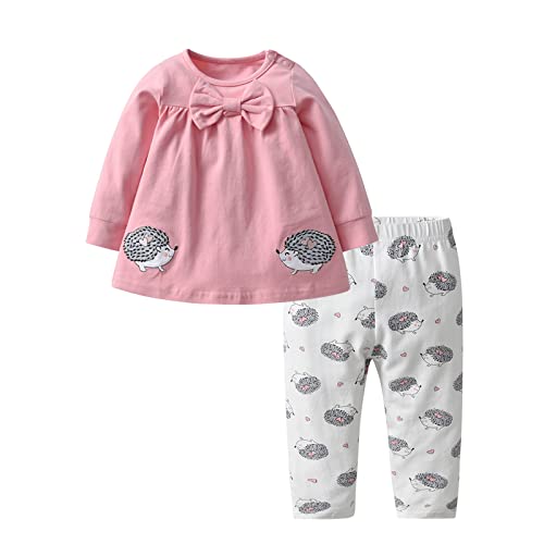 Eghunooy Baby Girls Clothes Set 2 Piece Long Sleeve Cartoon Hedgehog Infant Outfits (6-9 Months) Pink