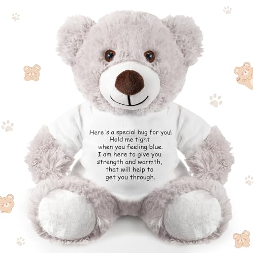 Lenwen A Bear Hug Gift Get Well Soon Bear Gift Plush Stuffed Animal Bear Hug Thinking of You Sympathy Gift for Women Kids Condolences Memorial Loved (Gray)