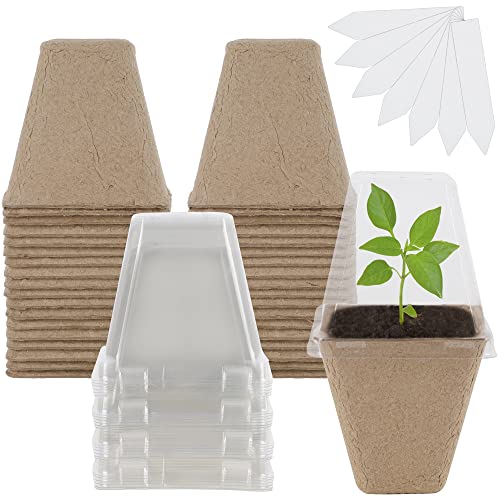 winemana Seed Starter Peat Pots,Biodegradable with Humidity Dome and Labels For Plant Nursery, Seedlings Planting For Indoor Outdoor Garden (Square)36 Set