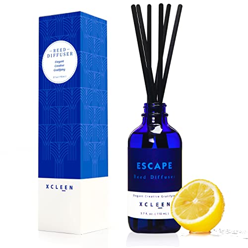Xcleen Reed Diffusers Set, 3.7 Oz Scent Diffuser, 6 Reed Diffuser Sticks, Home Fragrance Hyacinth, Peony & Citrus, Aromatherapy Oil Diffuser Reeds, More Masculine Scent, Bathroom & Office Decor 110ml