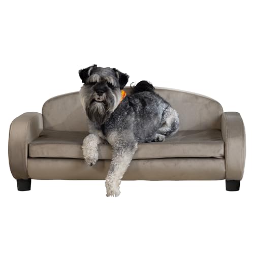 Paws & Purrs Modern Pet Sofa 35.5' Wide for Medium Dog or Cat with Removable/Washable Mattress Cover