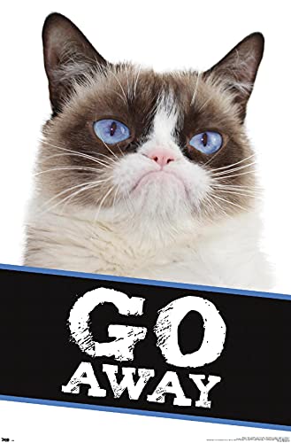 Trends International Grumpy Cat Go Away Wall Poster 22.375' x 34'