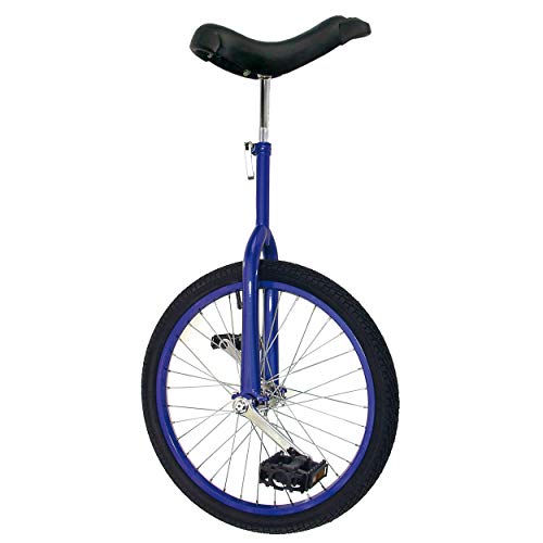 Fun 20 Inch Wheel Unicycle with Alloy Rim, Blue