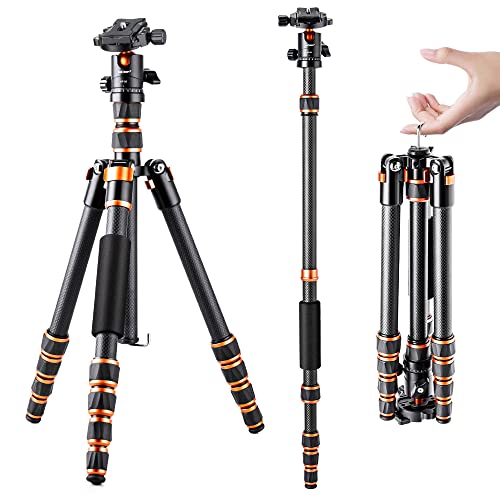 K&F Concept 60 inch Carbon Fiber Camera Tripod,Super Lightweight Compact Travel Tripod with 360 Degree Ball Head,Quick Release Plate,Detachable Monopod 8KG Load Capacity for SLR DSLR C225C0 (BA225)