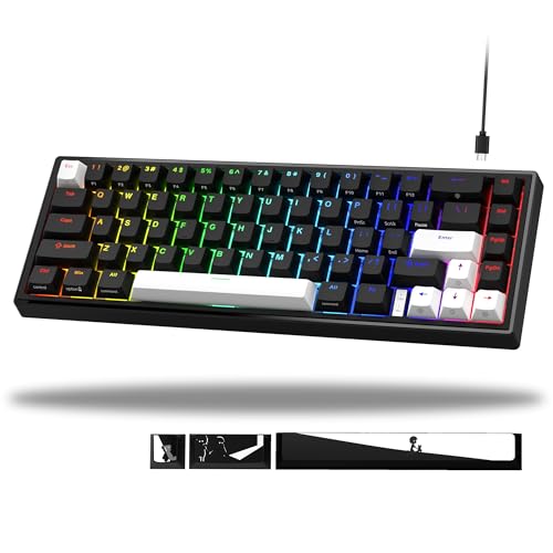 V-K66 60% Percent Keyboard, Mechanical Gaming Keyboard Gasket Mounted, Wired LED Backlit Keyboard with Arrow Keys - Black and White