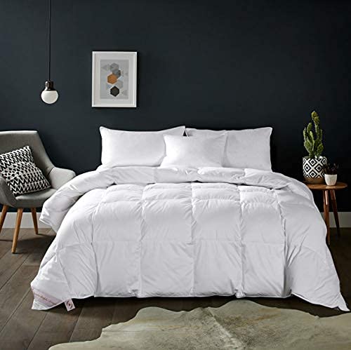 MAPLE DOWN Soft Queen Size Comforter Duvet Insert-Down Alternative Comforter Quilted with Corner Tabs-Lightweight Breathable Brushed Microfiber Machine Washable (White,90”x90”)