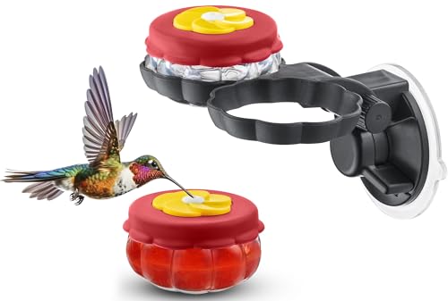 Handheld Small Glass Hummingbird Feeders (Set of 2) with Window Suction Mount Base - Window/Handheld or Tabletop Mini Hummingbird Feeders for Outdoors
