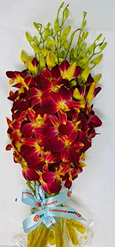 Orchid - Fresh Cut Flowers - Ten Stems of Dendrobium Sonia Tinted Yellow (Free Vase)