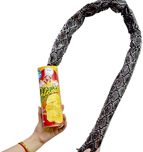 Blppldyci The Potato Chip Snake Can Jump Spring Toy Gift April Fool Day Halloween Party Decoration Jokes in A Gag Prank Large Size (Potato Chip Style)(1pcs)