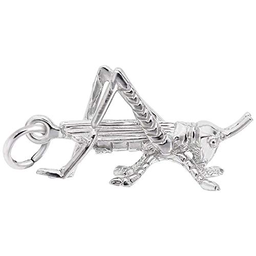 Rembrandt Charms Cricket Charm, Sterling Silver