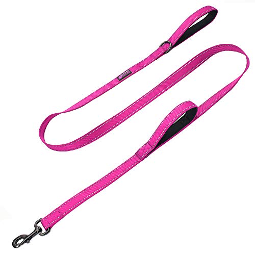 Max and Neo Double Handle Traffic Dog Leash Reflective - We Donate a Leash to a Dog Rescue for Every Leash Sold (Pink, 6 FT)