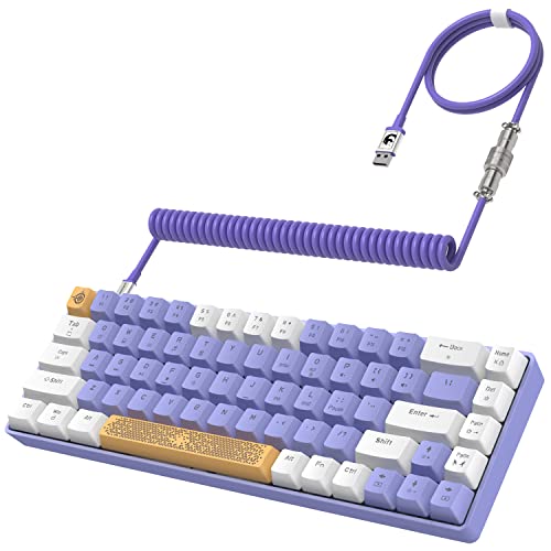 ZIYOU LANG RK-T8 Wired 65% Mechanical Gaming Keyboard with RGB LED Backlit Anti-ghosting TKL Mini 68 Key Custom Coiled C to A Cable Tactile Blue Switch for PS4 PS5 Xbox PC Mac Gamer(White Purple)