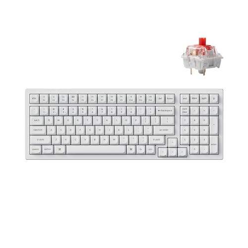 Keychron K4 Pro QMK/VIA Custom Wireless Mechanical Keyboard, Programmable Hot-swappable 100 Keys, RGB Backlight Wired Gaming Keyboard with K Pro Red Switches for Mac/Windows/Linux
