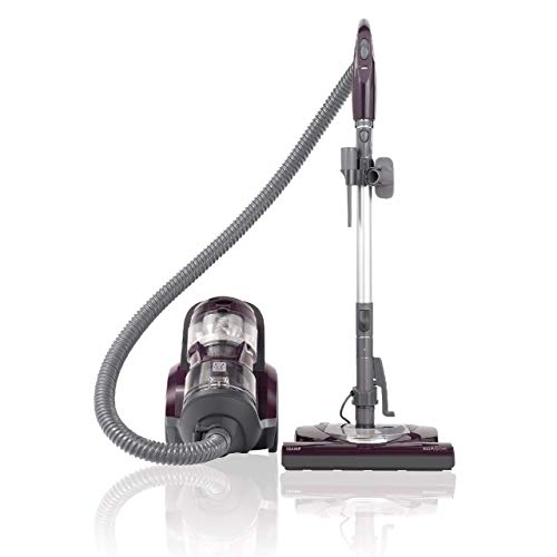 Kenmore Friendly Lightweight Bagless Compact Canister Vacuum, HEPA, Extended Telescoping Wand, Retractable Cord and 2 Cleaning Tools, Pet PowerMate + 2 Motor Power, Purple