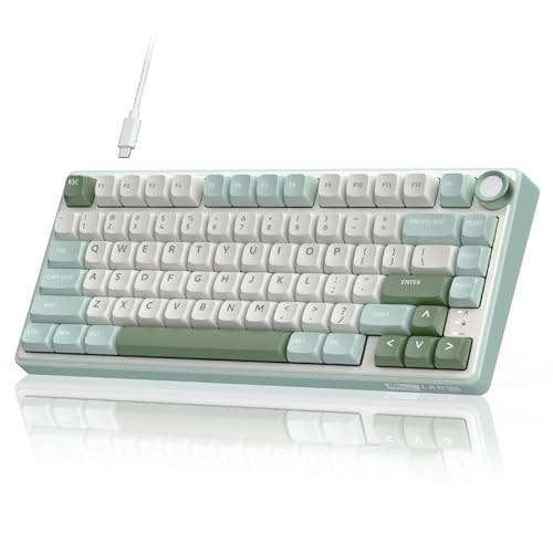 RK ROYAL KLUDGE R75 Mechanical Keyboard Wired with Volumn Knob, 75% TKL Custom Gaming Keyboard Gasket Mount RGB Backlit with Software, MDA Profile, Hot Swappable Silver Switch, PBT Keycaps