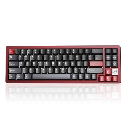 YUNZII AL71 75% Mechanical Keyboard, Full Aluminum CNC, Hot Swappable Gasket, 2.4GHz Wireless BT5.0/USB-C Wired Gaming Keyboard,NKRO Programmable RGB Backlight,for Win/Mac(Red,Silent Switch)