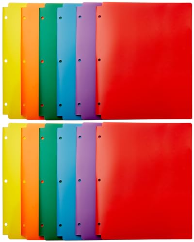 Amazon Basics Plastic 3 Hole Punch Folders with 2 Pockets, 8.5 x 11 inches, Pack of 12, Assorted Color