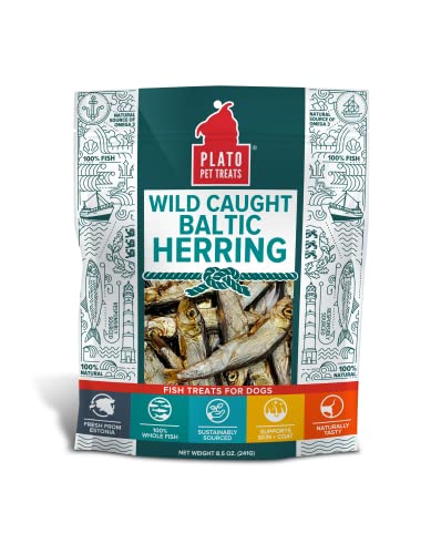PLATO Baltic Herring Dog Treat - Real Fish - Air Dried - Grain-Free - Baltic Herring, 8.5 Ounces, Natural