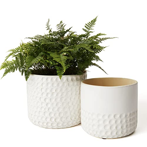 La Jolie Muse Ceramic Planter Flower Plant Pots- 6.7+5.5 Inch Concave Dot Patterned Cylinder Flower Pot W/ Drain Hole for Indoor, Set of 2, Ivory