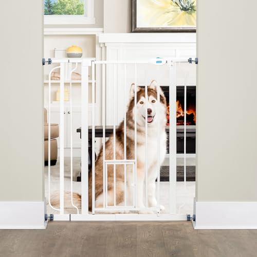 Carlson Extra Tall Walk Through Pet Gate with Small Pet Door, Includes 4-Inch Extension Kit, 4 Pack Pressure Mount Kit and 4 Pack Wall Mount Kit, 36 x 36.5, White