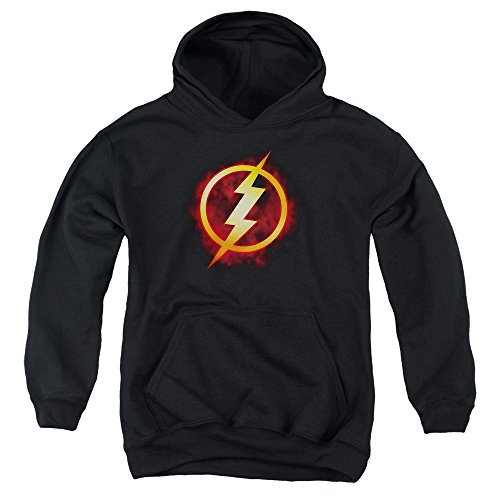 Youth Hoodie: The Flash- Incandescent Logo Pullover Hoodie Size YL