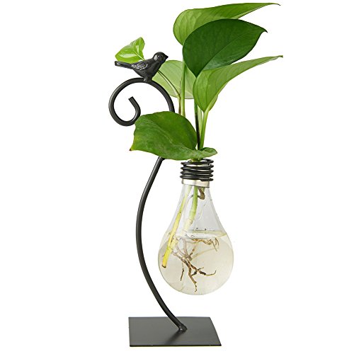 Marbrasse Desktop Glass Planter Hydroponics Vase,Planter Bulb Vase with Holder for Home Decoration,Modern Creative Bird Plant Terrarium Stand, Scindapsus Container (Bulb Vase)