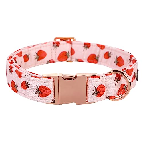 Lionet Paws Dog Collar, Comfortable Adjustable Cute Collar with Metal Buckle for Male Female Dogs Gift, Strawberry Pattern, Small, Neck 10-16 inches