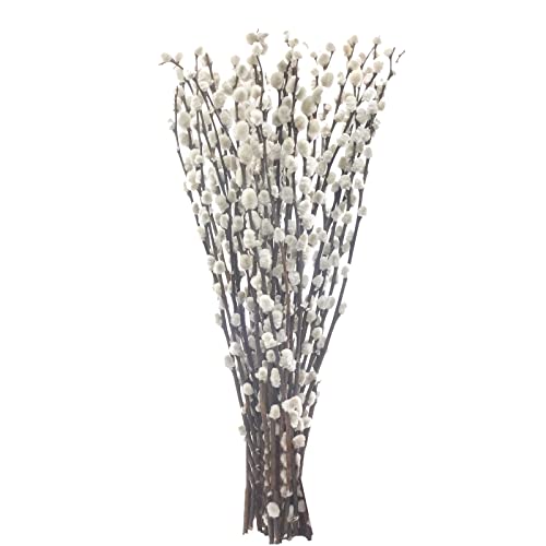 Lanmik 40 Stems 17.5 Inches 100% Real Natural Dried Pussy Willow Branches for Vase Pussy Willows Dried Flowers Pussywillow for Home Decorations, Wedding NO VASE