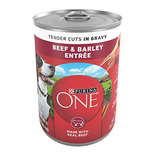 Purina ONE Tender Cuts in Gravy Beef and Barley Entree in Wet Dog Food Gravy - (Pack of 12) 13 oz. Cans