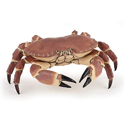 Papo - hand-painted - figurine - Marine Life - Crab-56047 - Collectible - For Children - Suitable for Boys and Girls - From 3 years old