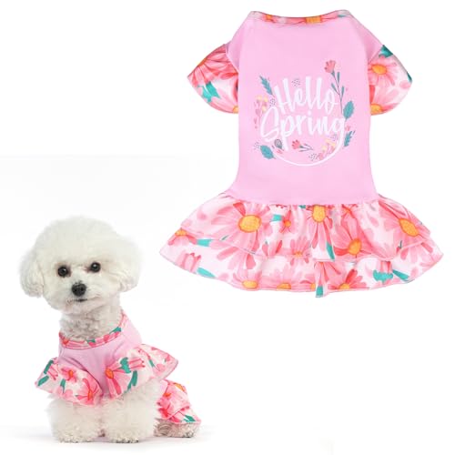 EXPAWLORER Spring Dog Dresses for Small Dogs and Puppies, Girl Dog Dress Shirt Hello Spring, Holiday Party Clothes Warm Cotton Skirt