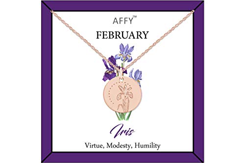 AFFY February Birth Month Iris Flower Disc Pendant Necklace In Rose Gold Plated Jewelry for Womens 18' Chain