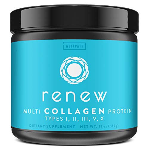 WellPath Renew Collagen for Women – Multi Collagen Peptides Protein Powder | Hydrolyzed Grassfed Bovine, Marine, & Chicken Collagen Peptides Supplement | Type I, II, III, V, and X, 11 oz