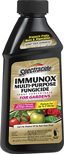 Spectracide Immunox Multi-Purpose Fungicide Spray Concentrate For Gardens 16 Ounces, Protects Up To 2 Weeks