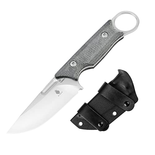 Kizer Cabox Fixed Blade Knife 3.35 Inches D2 Steel Pocket Knife Micarta Handle with Sheath 1048A1