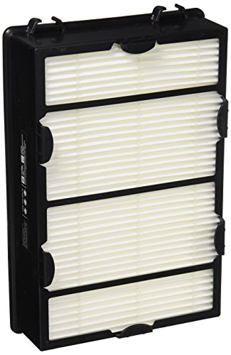 Holmes True HEPA Filter with Enhanced Mold Fighting Power, 2-Pack, White, 2 Count