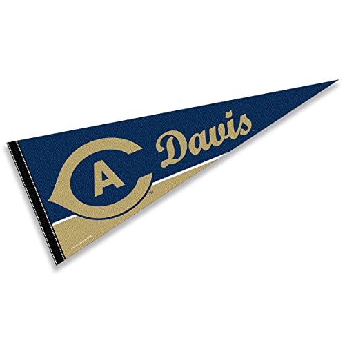 College Flags & Banners Co. Cal Davis Pennant Full Size Felt