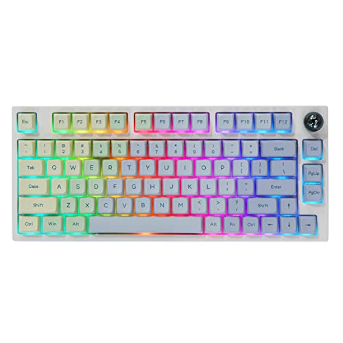 EPOMAKER TH80 Pro 75% Hot Swap RGB 2.4Ghz/Bluetooth 5.0/Wired Mechanical Keyboard with MDA PBT Keycaps, 4000mah Capacity Battery, Knob Control for Windows/Mac(Monet TH80 Pro, Gateron Pro Yellow)