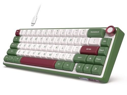 RK ROYAL KLUDGE R65 Wired Gaming Keyboard with Volume Knob, 60% Percent RGB Backlit Mechanical Keyboard Gasket Mount with PBT Keycaps, MDA Profile, 66 Keys Hot Swappable Cream Switch, Green