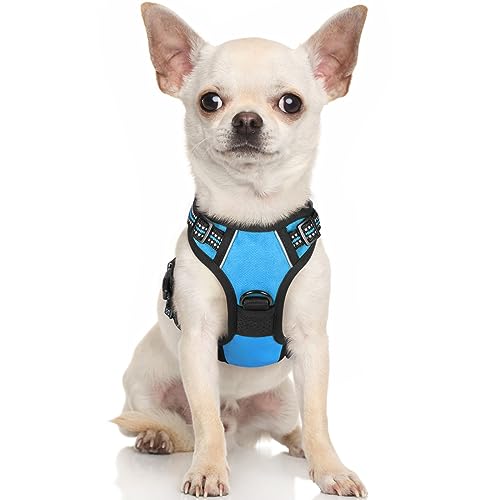 rabbitgoo Dog Harness, No-Pull Pet Harness with 2 Leash Clips, Adjustable Soft Padded Dog Vest, Reflective No-Choke Pet Oxford Vest with Easy Control Handle for Small Dogs, Blue, XS