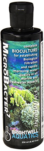 Brightwell Aquatics MicroBacter7 - Bacteria & Water Conditioner for Fish Tank or Aquarium, Populates Biological Filter Media for Saltwater and Freshwater Fish 250ml