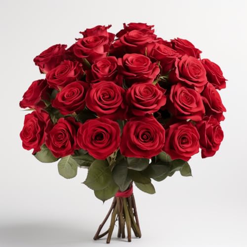 50 Red Roses- Fresh Cut Flowers- Beautiful Long Stems