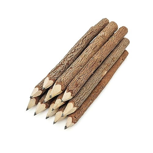 BSIRI Pencil Wood Graphite Wooden Tree Rustic Twig Pencils Birch of 12 Camping Lumberjack Decorations Party Supplies Novelty Gifts Bark Pencils Gifts for Kids in Classroom