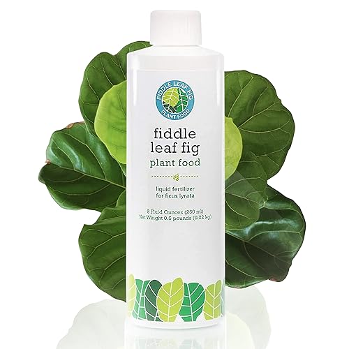 Fiddle Leaf Fig Tree Plant Food for Ficus Lyrata (and Ficus Audrey) - Organic, Enriched with Calcium, Urea-Free, and Featuring an NPK Ratio of 3-1-2 to Promote Robust Roots, Stems & Leaves (8 Ounces)