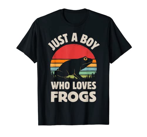 Frog Just A Boy Who Loves Frogs Men Retro Vintage Sunset T-Shirt