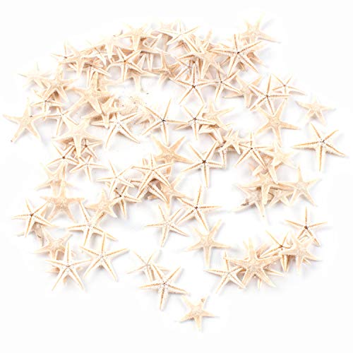 Tiny Miniature Fairy Garden Beach Critter Starfish Marine Life Collection for Arts & Crafts Projects, Decorations, Party Favors, Invitations (90 Pieces)