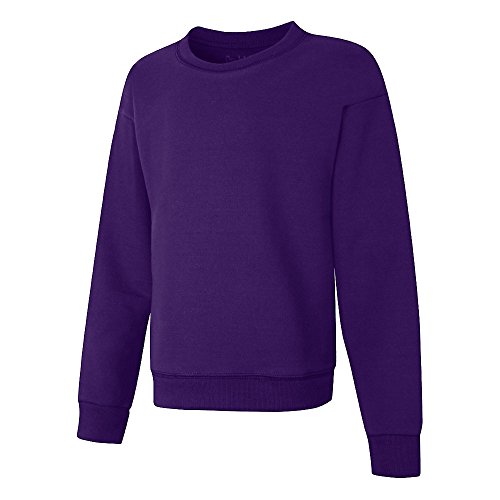 Hanes girls Ecosmart Graphic Sweatshirt Pullover Sweater, Purple Thora, Medium US