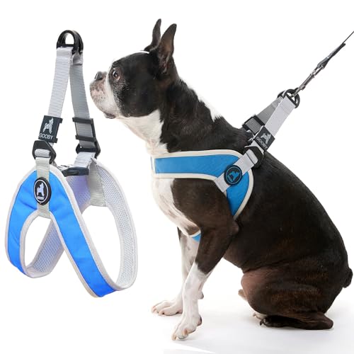 Gooby Simple Step in III Harness - Blue, Medium - Small Dog Harness with Scratch Resistant Outer Vest - Soft Inner Mesh Harness for Small, Medium Dogs